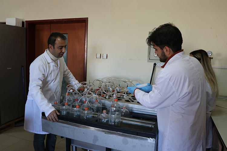 KSÜ’de Atık Pet Şişelerinden Yapay Sindirim Mekanizması Geliştirildi