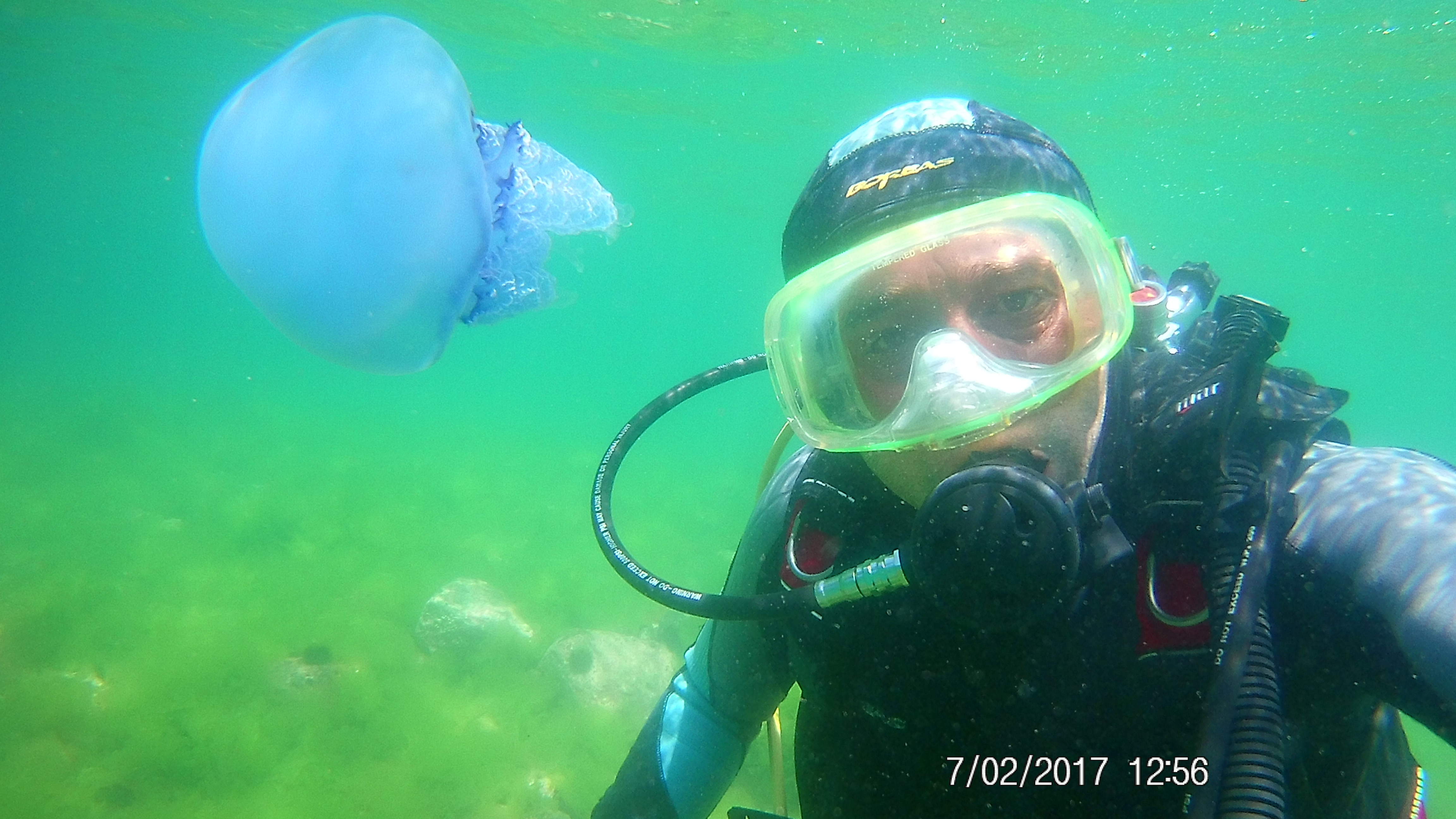 Balıkesir ili Marmara Kıyıları Antik Liman, Yerleşim ve Batık Potansiyelinin Tespiti Yüzey Araştırması