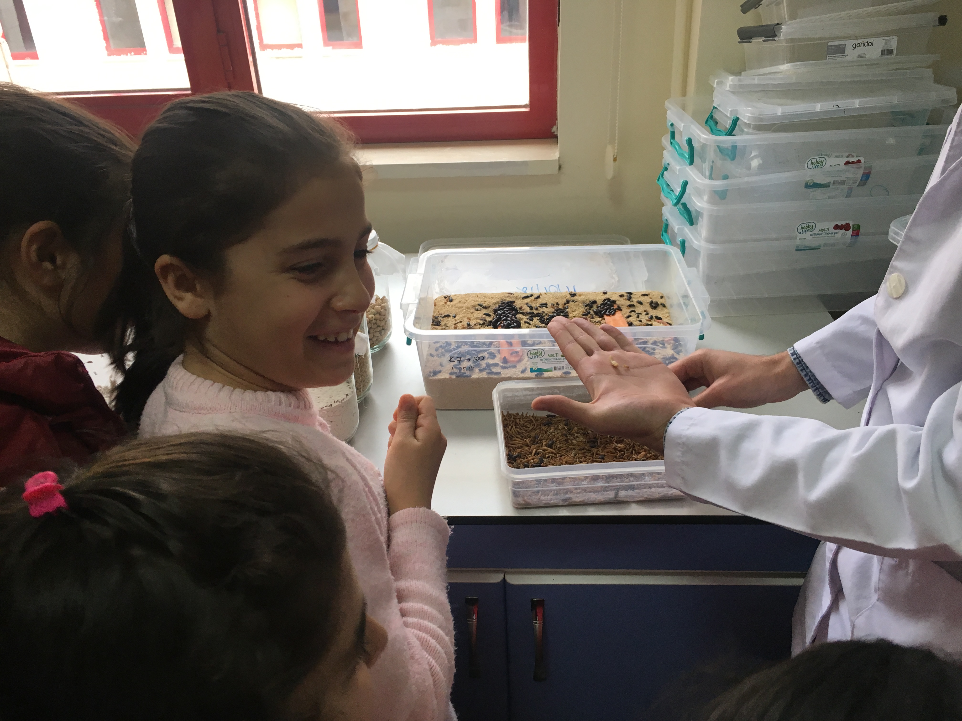 Kahramanmaraş Sütçü İmam Üniversitesi Çocuk Eğitimi Uygulama ve Araştırma Merkezi Eğitim- Öğretim Faaliyetleri Böcek Faunası 