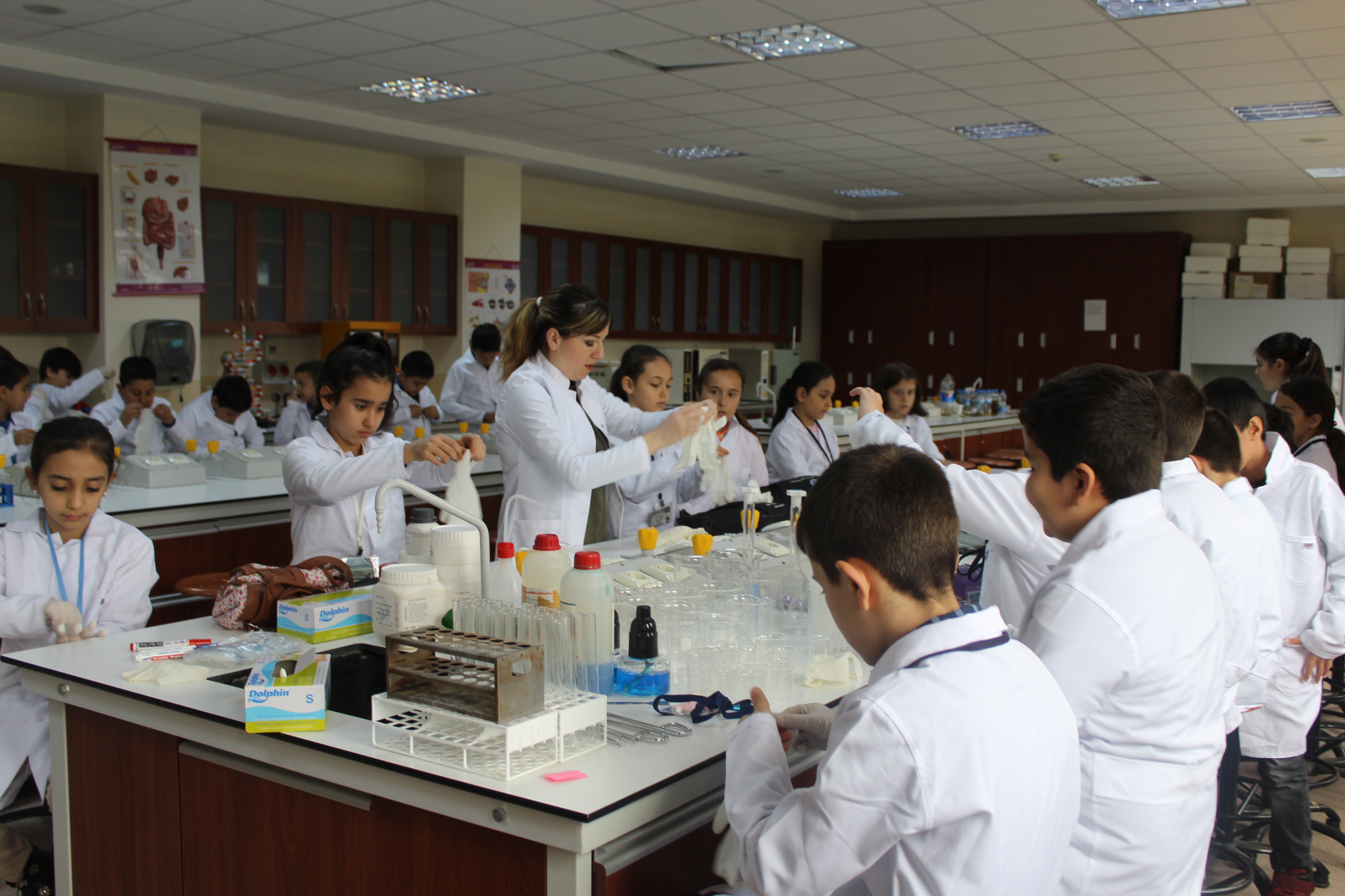 Kahramanmaraş Sütçü İmam Üniversitesi Çocuk Eğitimi Uygulama ve Araştırma Merkezi Eğitim-Öğretim Faaliyetleri Temel Fen Laboratuvarı Uygulamaları 