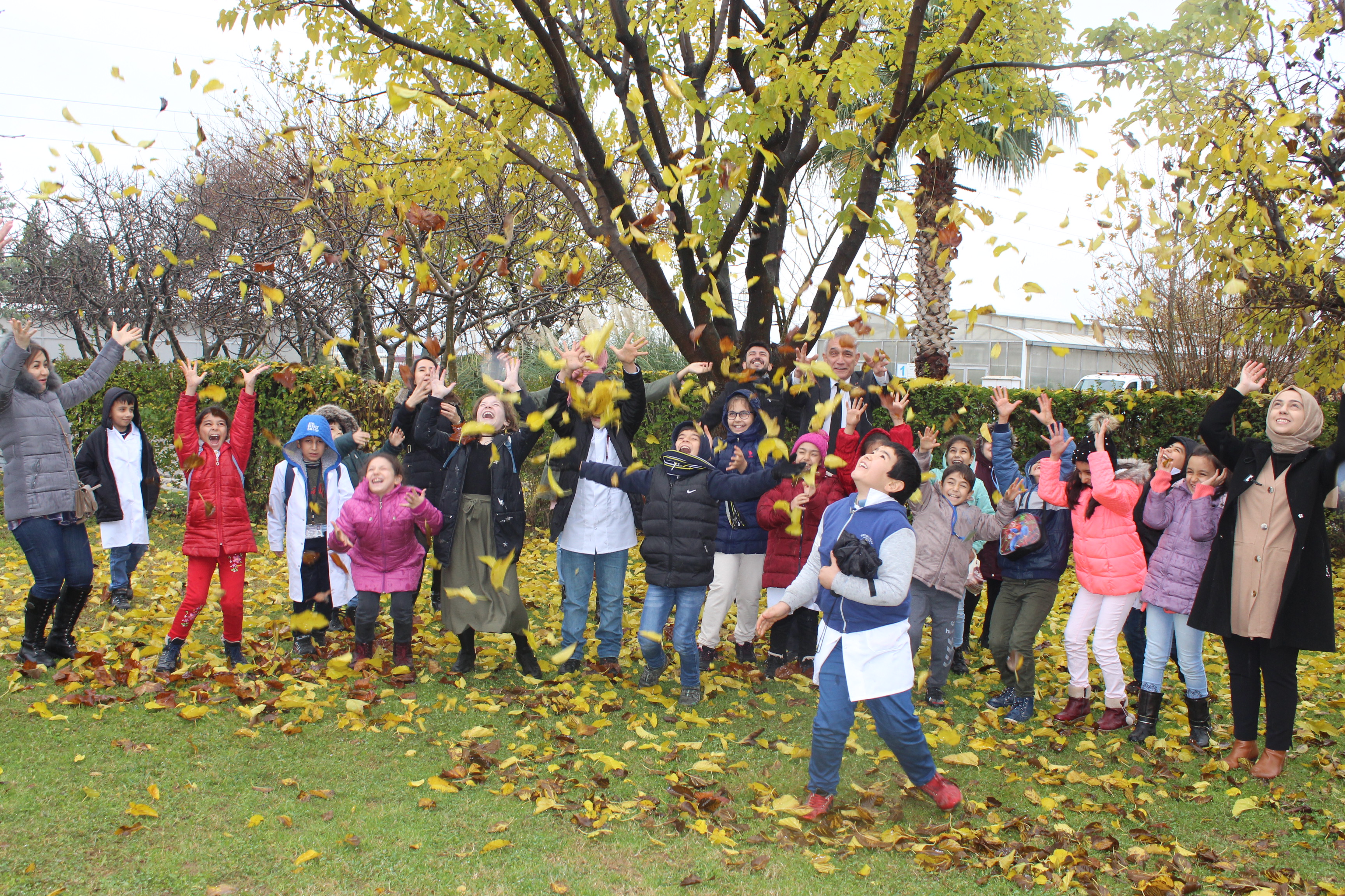 2019 Güz Dönemi Çocuk Eğitimi Uygulama ve Araştırma Merkezi Bitki Florası 
