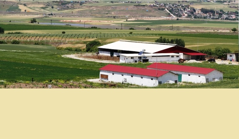 HAYMER Kümesler 2.Gr, Ahırlar 