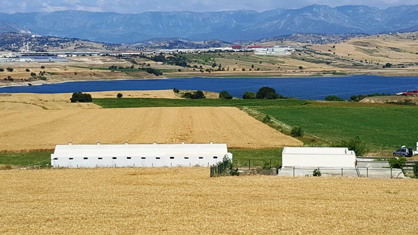 Kanatlılar Kümesler A