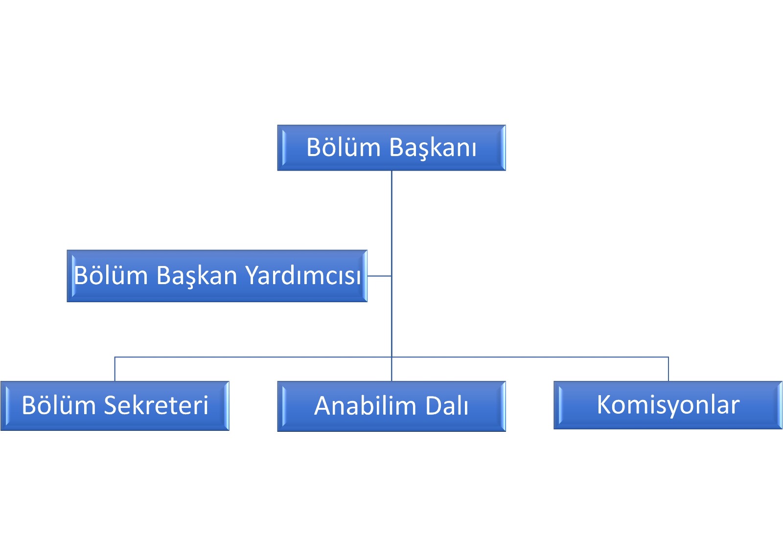 Organizasyon Şeması