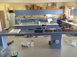 Tarımsal Biyoteknoloji-I