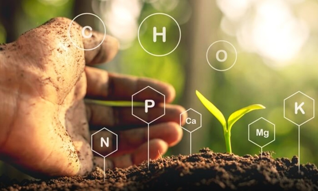 Toprak Bilimi ve Bitki Besleme 