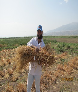 Öğrenciler Melez Bahçesinde